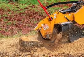 Best Tree Cabling and Bracing  in Holiday Valley, OH