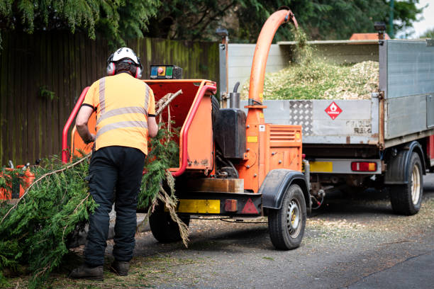 Best Utility Line Clearance  in Holiday Valley, OH