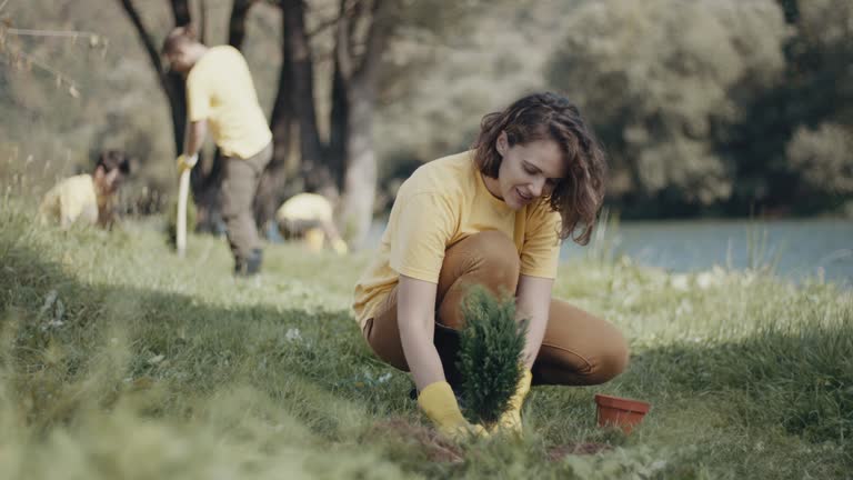 Best Lawn Disease Treatment  in Holiday Valley, OH