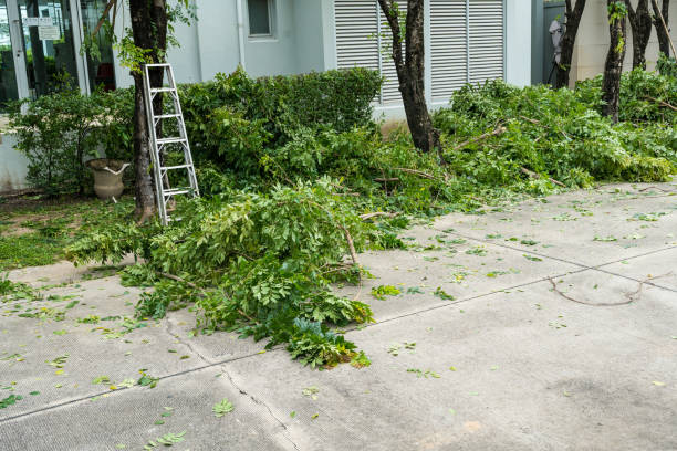 Best Lawn Irrigation Installation and Maintenance  in Holiday Valley, OH